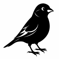 Sparrow black silhouette