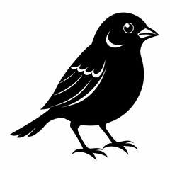Sparrow black silhouette