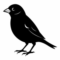 Sparrow black silhouette