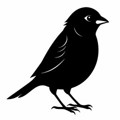 Sparrow black silhouette