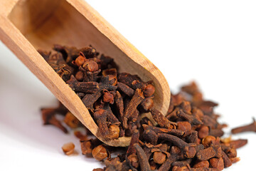 Gewürznelken, getrocknete Blütenknospen vom Gewürznelkenbaum