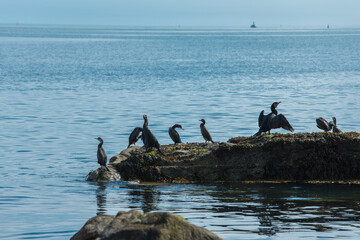 Dunlaoghaire, Dublin, Ireland - seaside city scenery