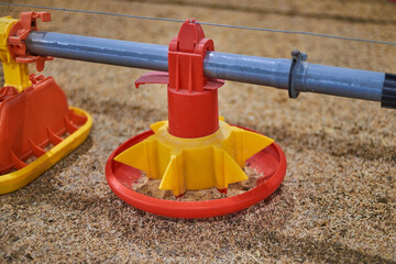 Chicken feeder placed on the floor of a chicken farm with checkefood