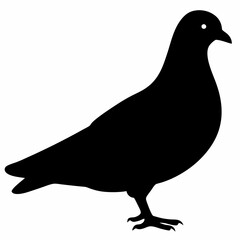Dove vector illustration, bird  isolated on white, dove silhouette, dove of peace vector art