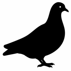 Dove vector illustration, bird  isolated on white, dove silhouette, dove of peace vector art