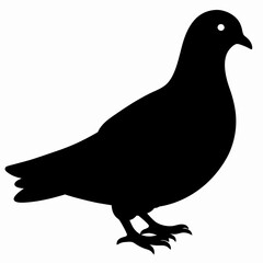 Dove vector illustration, bird  isolated on white, dove silhouette, dove of peace vector art