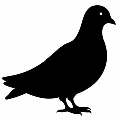 Dove vector illustration, bird  isolated on white, dove silhouette, dove of peace vector art