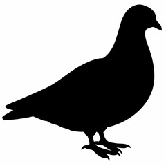 Obraz premium Dove vector illustration, bird isolated on white, dove silhouette, dove of peace vector art