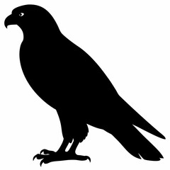 Falcon vector illustration, bird  isolated on white, Falcon silhouette, Falcon vector art
