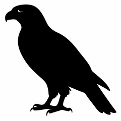 Obraz premium Falcon vector illustration, bird isolated on white, Falcon silhouette, Falcon vector art 