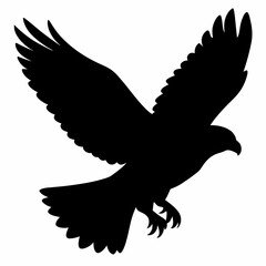 Falcon vector illustration, bird  isolated on white, Falcon silhouette, Falcon vector art
