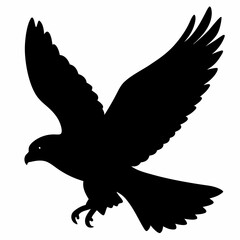 Falcon vector illustration, bird  isolated on white, Falcon silhouette, Falcon vector art
