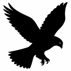 Falcon vector illustration, bird  isolated on white, Falcon silhouette, Falcon vector art
