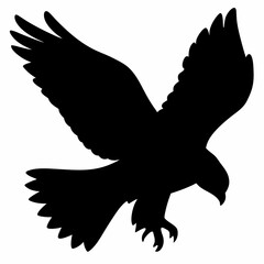 Falcon vector illustration, bird  isolated on white, Falcon silhouette, Falcon vector art
