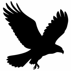 Falcon vector illustration, bird  isolated on white, Falcon silhouette, Falcon vector art

