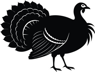 Turkey cock bird animal silhouette, wild turkey black silhouette vector art, thanksgiving turkey 
