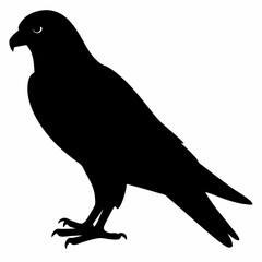 Kingfisher vector illustration, bird  isolated on white, Kingfisher silhouette, Kingfisher vector illustration, bird  isolated on white, Kingfisher silhouette, Kestrel vector art vector art