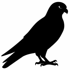 Kestrel vector illustration, bird  isolated on white, Kestrel silhouette, Kestrel vector art