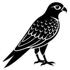Kestrel vector illustration, bird  isolated on white, Kestrel silhouette, Kestrel vector art