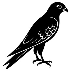 Kestrel vector illustration, bird  isolated on white, Kestrel silhouette, Kestrel vector art