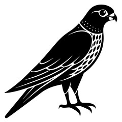 Fototapeta premium Kestrel vector illustration, bird isolated on white, Kestrel silhouette, Kestrel vector art