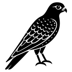 Kestrel vector illustration, bird  isolated on white, Kestrel silhouette, Kestrel vector art