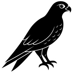 Kingfisher vector illustration, bird  isolated on white, Kingfisher silhouette, Kingfisher vector illustration, bird  isolated on white, Kingfisher silhouette, Kestrel vector art vector art