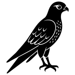 Kestrel vector illustration, bird  isolated on white, Kestrel silhouette, Kestrel vector art