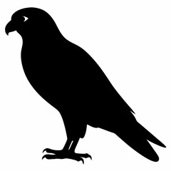 Fototapeta premium Kestrel vector illustration, bird isolated on white, Kestrel silhouette, Kestrel vector art