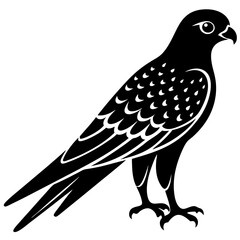 Kestrel vector illustration, bird  isolated on white, Kestrel silhouette, Kestrel vector art