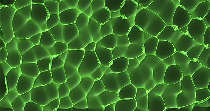 Animazione astratta di linee e cerchi con molti colori  diversi e movimenti