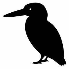 Kingfisher vector illustration, bird  isolated on white, Kingfisher silhouette, Kingfisher vector illustration, bird  isolated on white, Kingfisher silhouette, Kestrel vector art vector art