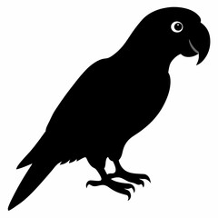 Kingfisher vector illustration, bird  isolated on white, Kingfisher silhouette, Kingfisher vector illustration, bird  isolated on white, Kingfisher silhouette, Kestrel vector art vector art