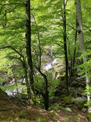 Fototapeta premium Cascade d'Orgon dans les Cévennes