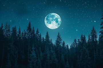 Moonlit Forest Nightscape
