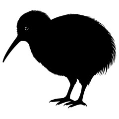 Kiwi vector illustration, bird  isolated on white, Kiwi silhouette, Kiwi vector art