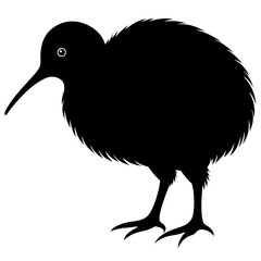 Kiwi vector illustration, bird  isolated on white, Kiwi silhouette, Kiwi vector art