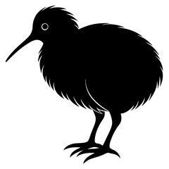 Kiwi vector illustration, bird  isolated on white, Kiwi silhouette, Kiwi vector art