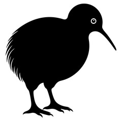 Kiwi vector illustration, bird  isolated on white, Kiwi silhouette, Kiwi vector art