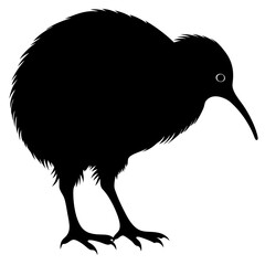 Kiwi vector illustration, bird  isolated on white, Kiwi silhouette, Kiwi vector art