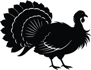 Turkey cock bird animal silhouette, wild turkey black silhouette vector art, thanksgiving turkey 
