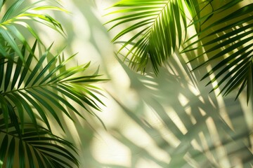 Fototapeta premium Tropical Palm Leaves Casting Shadows on Wall