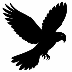 Parrot vector illustration, bird  isolated on white, Parrot silhouette, Parrot vector art