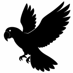 Parrot vector illustration, bird  isolated on white, Parrot silhouette, Parrot vector art