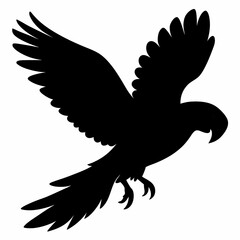 Parrot vector illustration, bird  isolated on white, Parrot silhouette, Parrot vector art