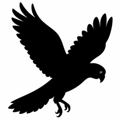 Parrot vector illustration, bird  isolated on white, Parrot silhouette, Parrot vector art