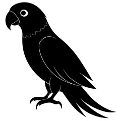 Parrot vector illustration, bird  isolated on white, Parrot silhouette, Parrot vector art