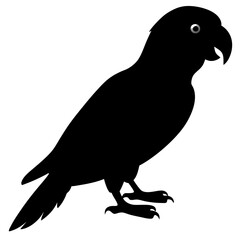 Parrot vector illustration, bird  isolated on white, Parrot silhouette, Parrot vector art