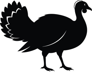 Turkey cock bird animal silhouette, wild turkey black silhouette vector art, thanksgiving turkey 
