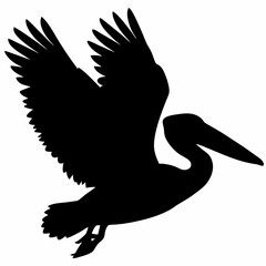 Pelican vector illustration, bird  isolated on white, Parrot silhouette, Parrot vector art